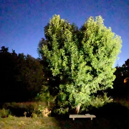 Maison Familiale Au Bord De La Coulee Verte *